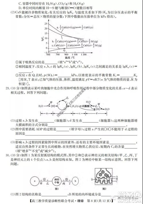 广西2020年5月份高三教学质量诊断性联合考试理科综合试题及答案 广西2020年5月份高三教学质量诊断性联合考试理科综合试题及答案