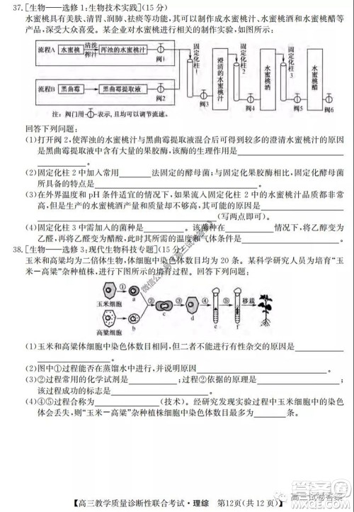广西2020年5月份高三教学质量诊断性联合考试理科综合试题及答案 广西2020年5月份高三教学质量诊断性联合考试理科综合试题及答案