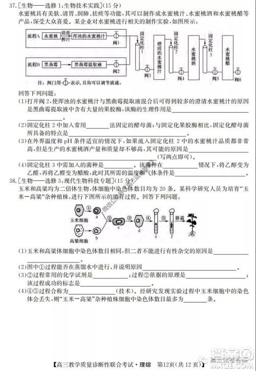 广西2020年5月份高三教学质量诊断性联合考试理科综合试题及答案