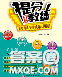 2020春提分教练优学导练测八年级物理下册沪粤版答案