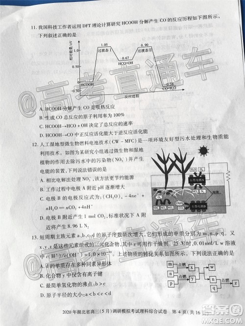 2020年湖北省高三5月调研模拟考试理科综合试题及答案