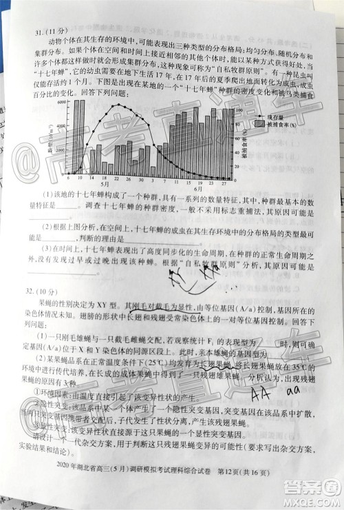 2020年湖北省高三5月调研模拟考试理科综合试题及答案