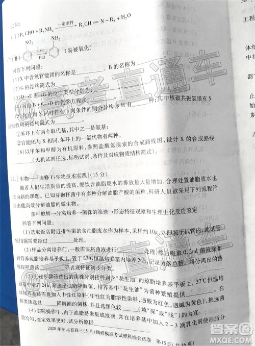 2020年湖北省高三5月调研模拟考试理科综合试题及答案