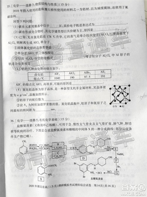 2020年湖北省高三5月调研模拟考试理科综合试题及答案