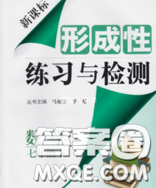 2020新版新课标形成性练习与检测七年级数学下册人教版答案