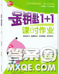 2020春金钥匙1+1课时作业六年级数学下册江苏版答案