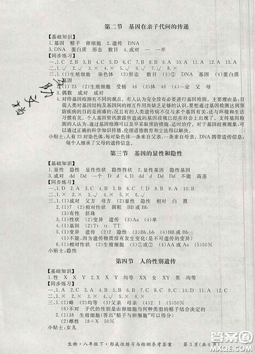 2020新版新课标形成性练习与检测八年级生物下册人教版答案 2020新版新课标形成性练习与检测八年级生物下册人教版答案