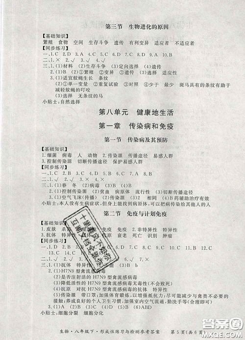 2020新版新课标形成性练习与检测八年级生物下册人教版答案 2020新版新课标形成性练习与检测八年级生物下册人教版答案