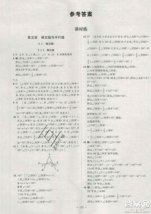 2020春思路教练同步课时作业七年级数学下册人教版答案