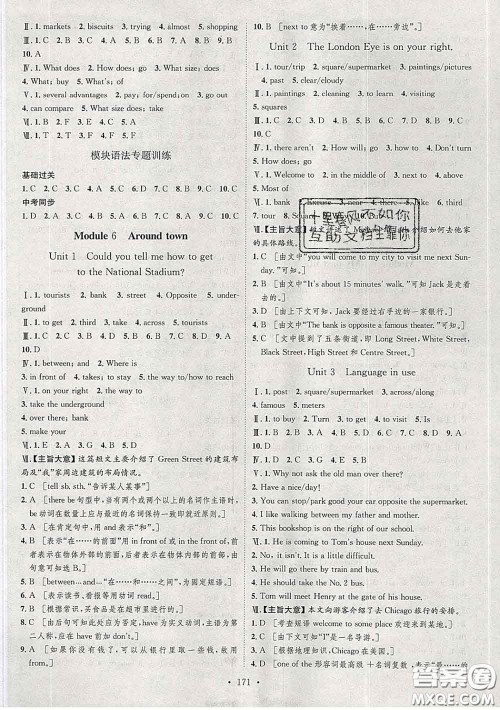 2020春思路教练同步课时作业七年级英语下册外研版答案