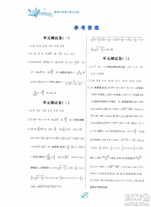 广西教育出版社2020自主学习能力测评单元测试八年级数学下册A版答案