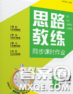 2020春思路教练同步课时作业七年级地理下册人教版答案