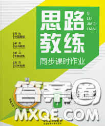 2020春思路教练同步课时作业七年级道德与法治下册人教版答案