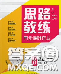 2020春思路教练同步课时作业八年级道德与法治下册人教版答案