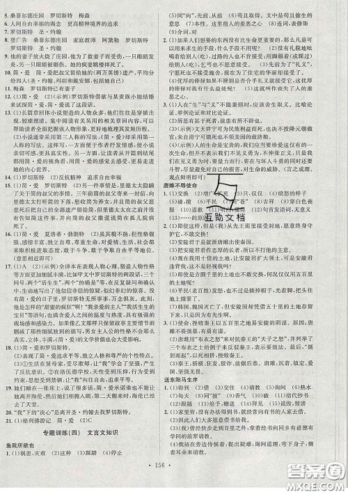 2020春思路教练同步课时作业九年级语文下册人教版答案