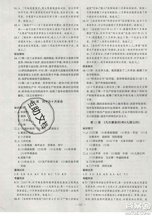 2020春思路教练同步课时作业九年级历史下册人教版答案