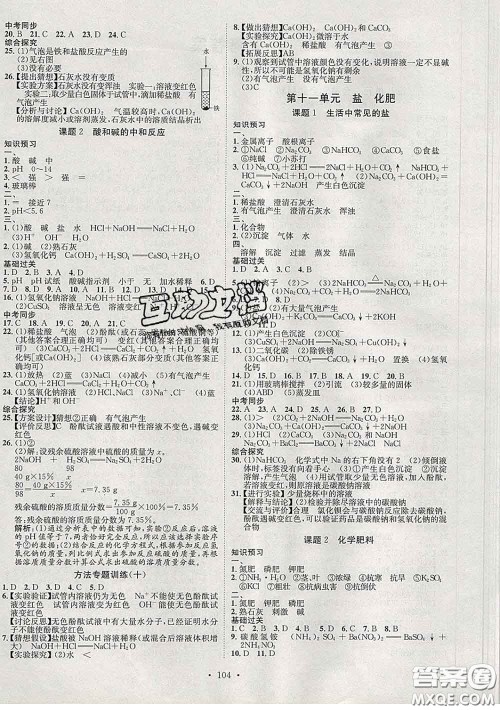 2020春思路教练同步课时作业九年级化学下册人教版答案