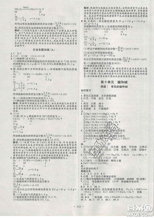 2020春思路教练同步课时作业九年级化学下册人教版答案