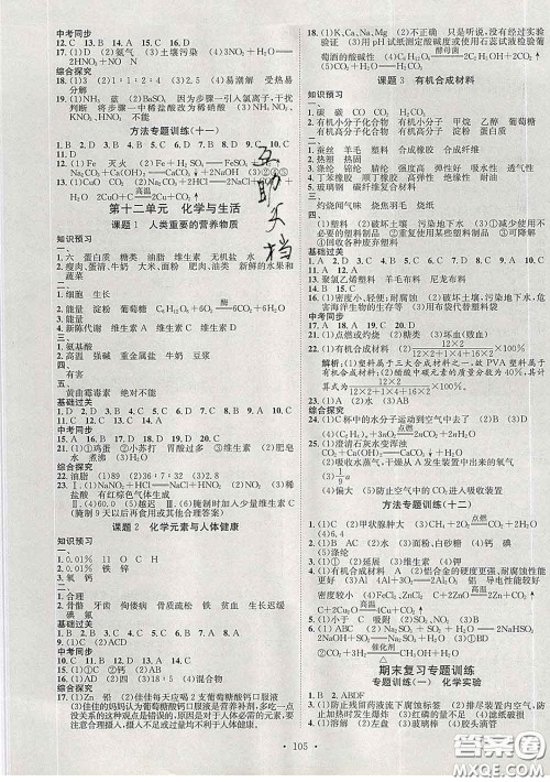 2020春思路教练同步课时作业九年级化学下册人教版答案