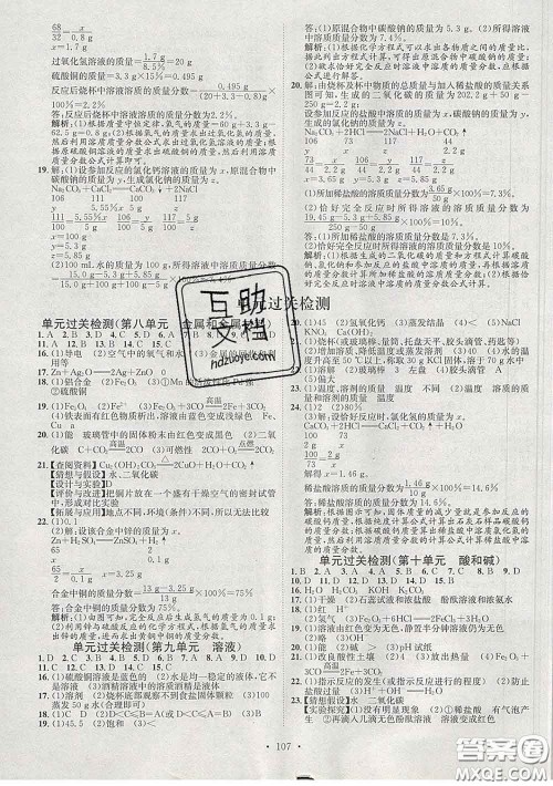 2020春思路教练同步课时作业九年级化学下册人教版答案