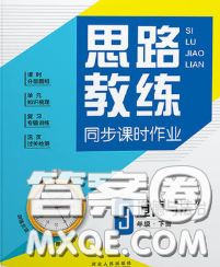 2020春思路教练同步课时作业九年级道德与法治下册人教版答案