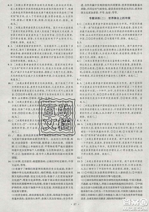 2020春思路教练同步课时作业九年级道德与法治下册人教版答案