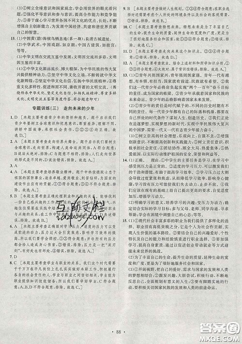 2020春思路教练同步课时作业九年级道德与法治下册人教版答案