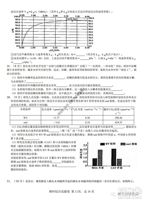 湖南师范大学附属学校2020届高三5月模拟理科综合试题及答案