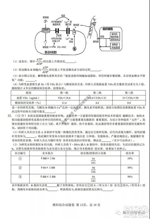 湖南师范大学附属学校2020届高三5月模拟理科综合试题及答案