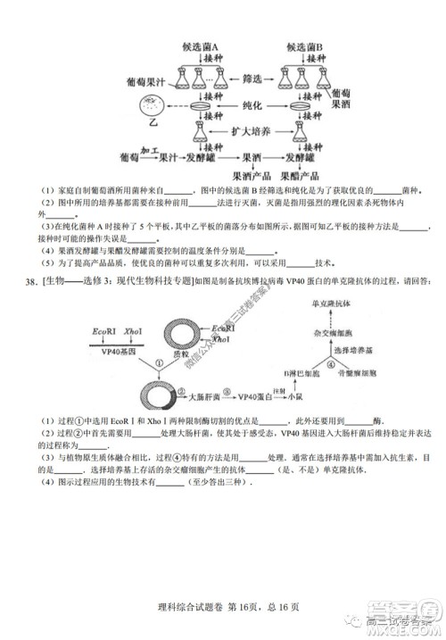 湖南师范大学附属学校2020届高三5月模拟理科综合试题及答案