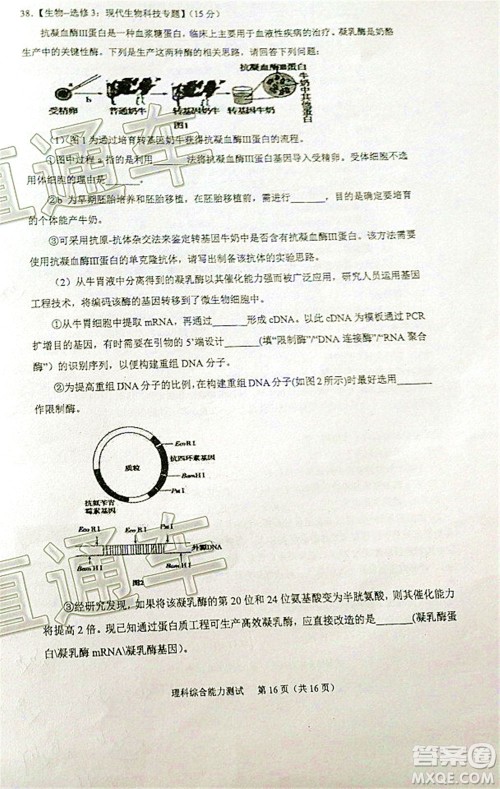 厦门市2020届高中毕业班五月质量检查理科综合试题及答案 厦门市2020届高中毕业班五月质量检查理科综合试题及答案