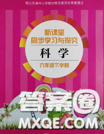 青岛出版社2020春新课堂同步学习与探究六年级科学下册答案 青岛出版社2020春新课堂同步学习与探究六年级科学下册答案