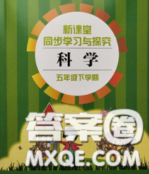 青岛出版社2020春新课堂同步学习与探究五年级科学下册答案