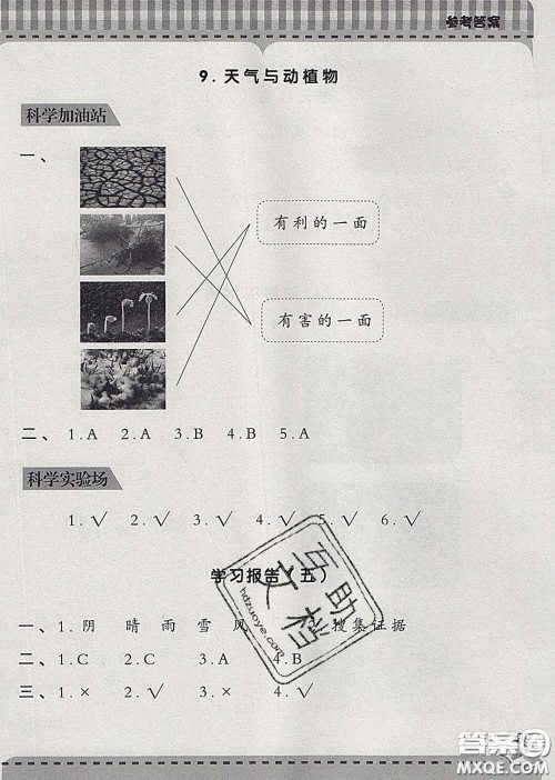 青岛出版社2020春新课堂同步学习与探究二年级科学下册答案