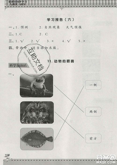 青岛出版社2020春新课堂同步学习与探究二年级科学下册答案