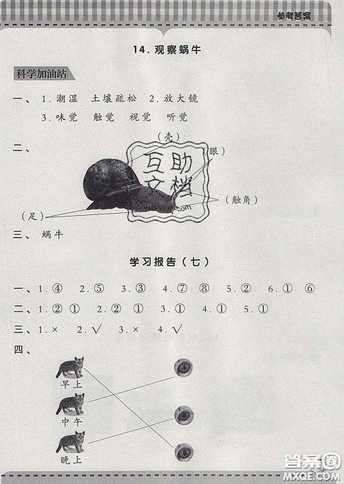 青岛出版社2020春新课堂同步学习与探究二年级科学下册答案