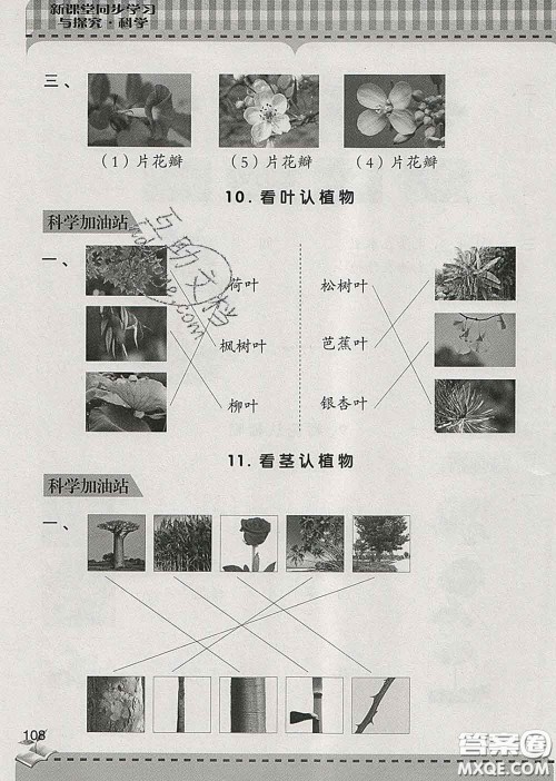 青岛出版社2020春新课堂同步学习与探究一年级科学下册答案