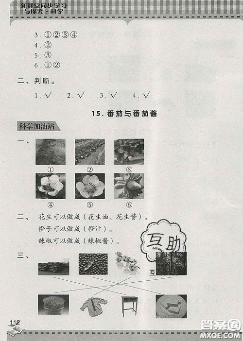 青岛出版社2020春新课堂同步学习与探究一年级科学下册答案