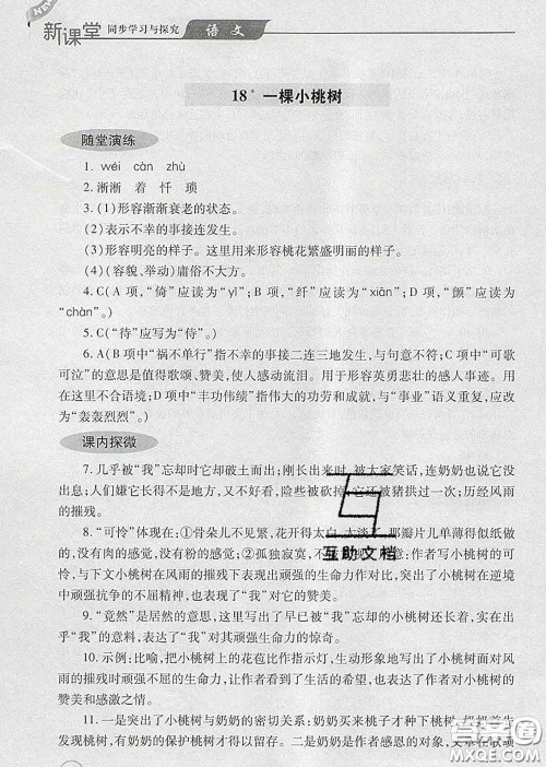 青岛出版社2020春新课堂同步学习与探究七年级语文下册答案