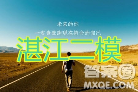 湛江市2020年普通高考测试二文科数学试题及答案