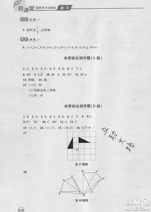 青岛出版社2020春新课堂同步学习与探究八年级数学下册答案