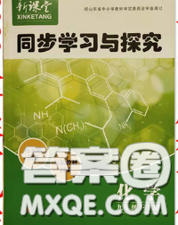 青岛出版社2020春新课堂同步学习与探究九年级化学下册答案