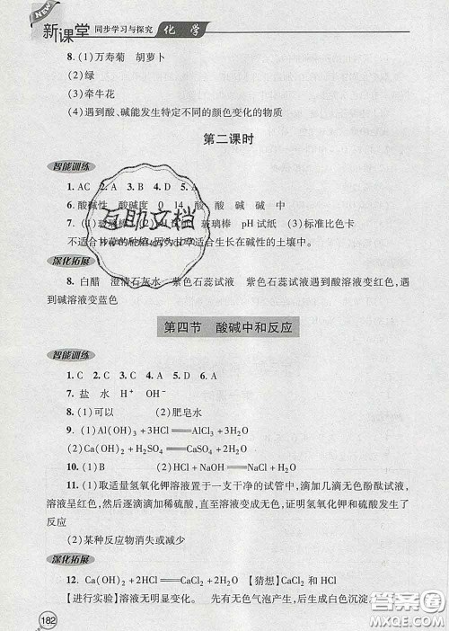 青岛出版社2020春新课堂同步学习与探究九年级化学下册答案