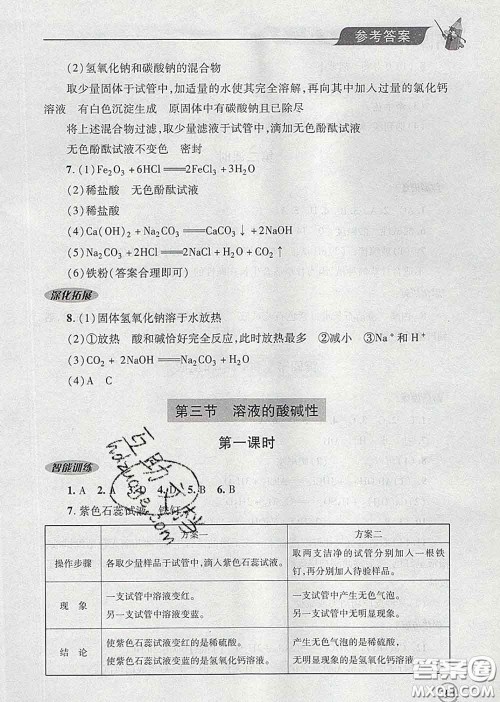 青岛出版社2020春新课堂同步学习与探究九年级化学下册答案