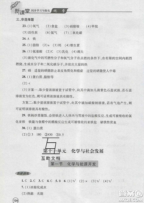 青岛出版社2020春新课堂同步学习与探究九年级化学下册答案