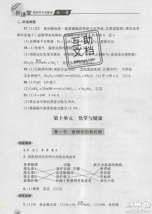 青岛出版社2020春新课堂同步学习与探究九年级化学下册答案