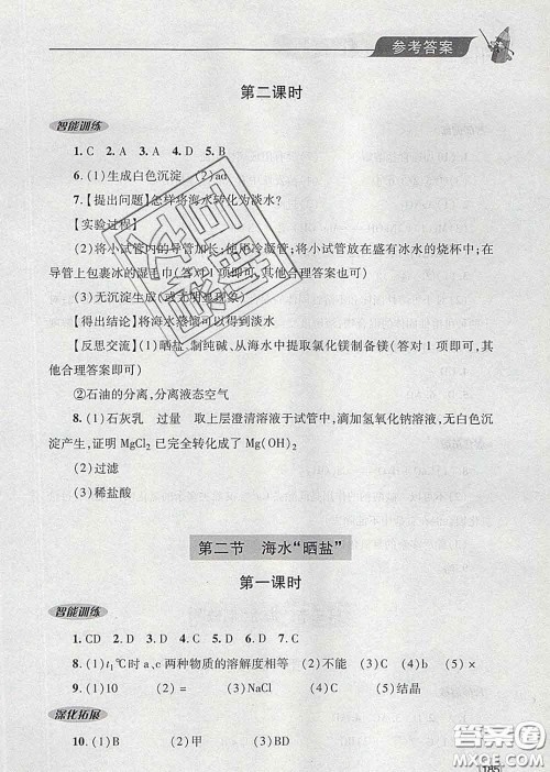 青岛出版社2020春新课堂同步学习与探究九年级化学下册答案