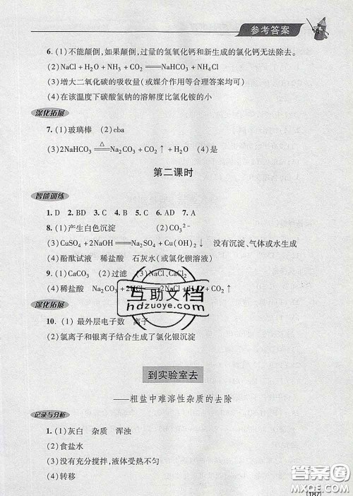 青岛出版社2020春新课堂同步学习与探究九年级化学下册答案