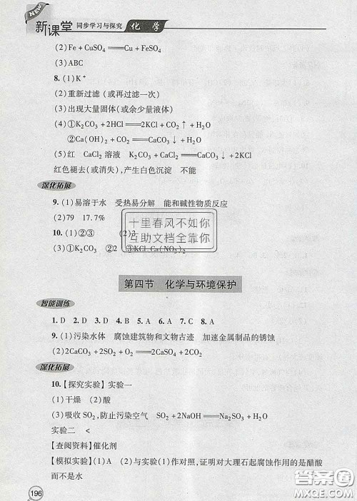 青岛出版社2020春新课堂同步学习与探究九年级化学下册答案