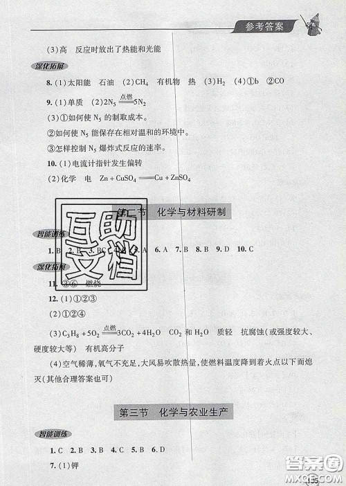 青岛出版社2020春新课堂同步学习与探究九年级化学下册答案